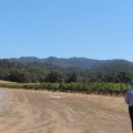Le drone au secours des viticulteurs